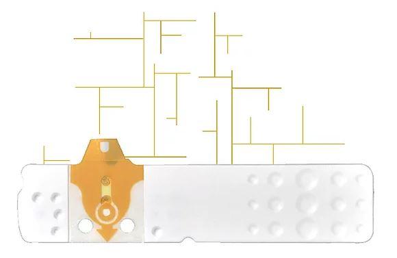 Linea D Oro 25 Strisce Glicemia