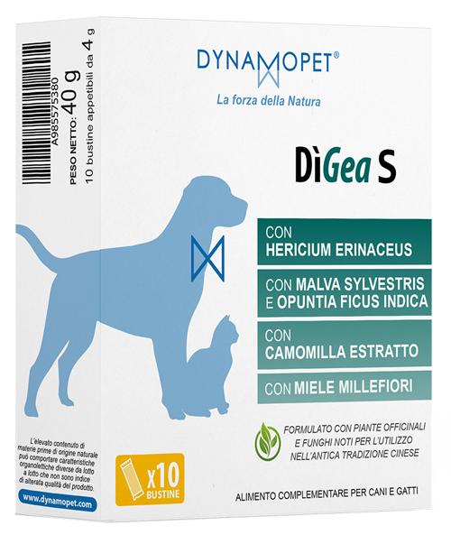 DIGEA S 10BUST