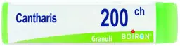 300650.jpg