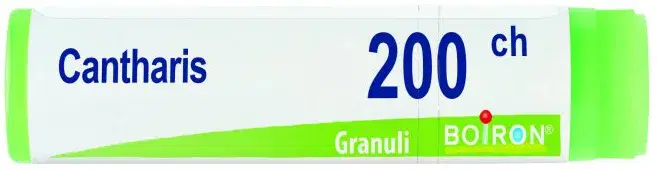 Boiron Cantharis Dose 200CH Globuli