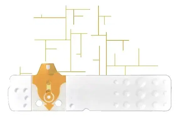 Linea D Oro 25 Strisce Glicemia