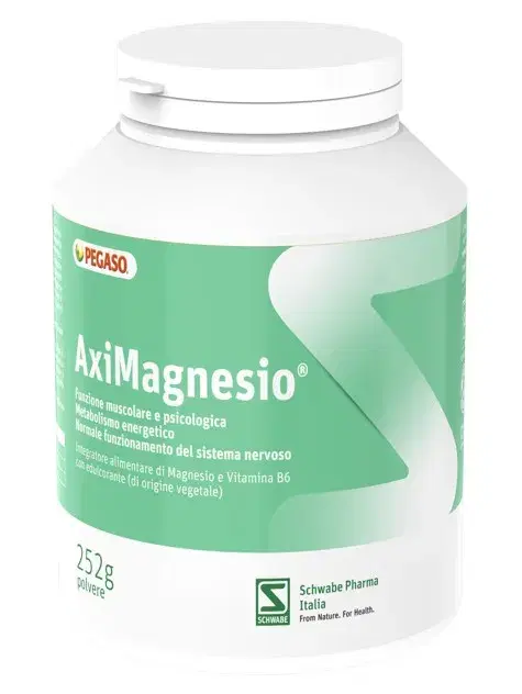 Schwabe Aximagnesio Integratore di Magnesio per la Stanchezza Polvere 252g