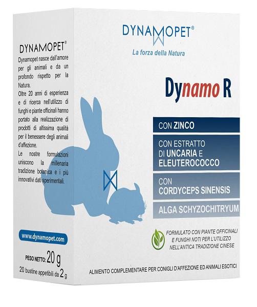 Dynamo R Integratore Energizzante 20 Bustine da 2 g